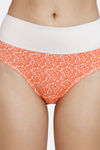 Zivame Anti-Microbial High Rise Full Coverage Tummy Tucker Hipster Panty (Pack of 2) - Multicolor — thumbnail 9